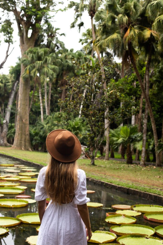 Ultimate Mauritius Travel Guide: the Giant Lilly Pond in Pamplemousses Botanical garden in Mauritius