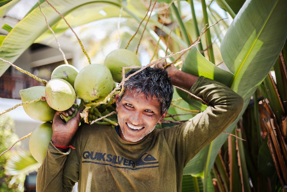 Man picking coconuts at Sakoa Boutik Hotel
