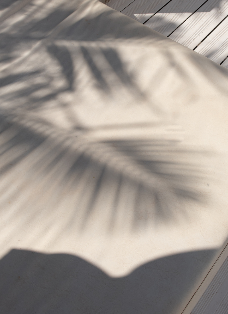 Soft shadows of palm fronds cast over a sunlit cream surface, evoking a serene, tropical atmosphere.
