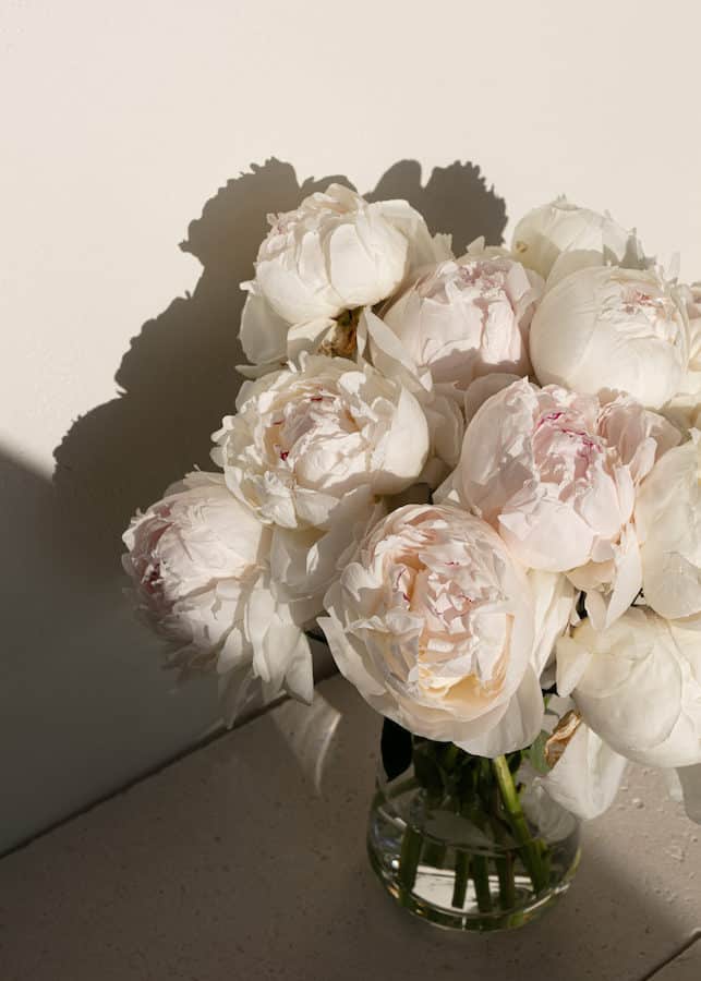 A bouquet of lush white peonies in full bloom, basking in the warmth of sunlight, with delicate shadows cast upon a cream wall. Symbol of Feminine Energy - Image from the article on books about feminine energy