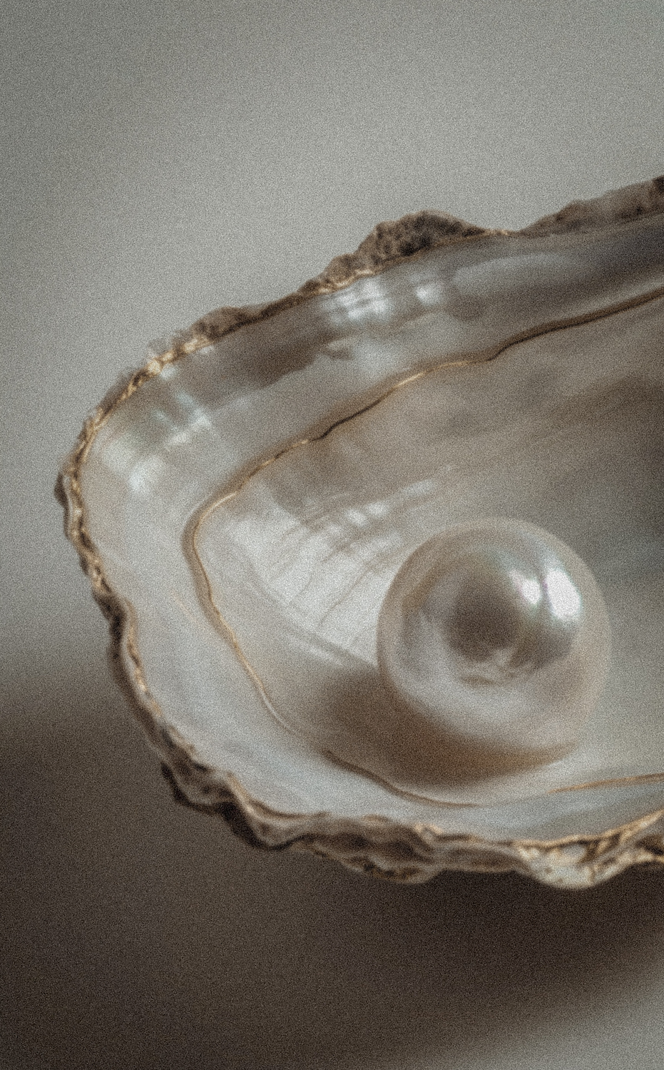 Pearl resting inside a rippled seashell — soft ocean-inspired still life for beach quote blog
