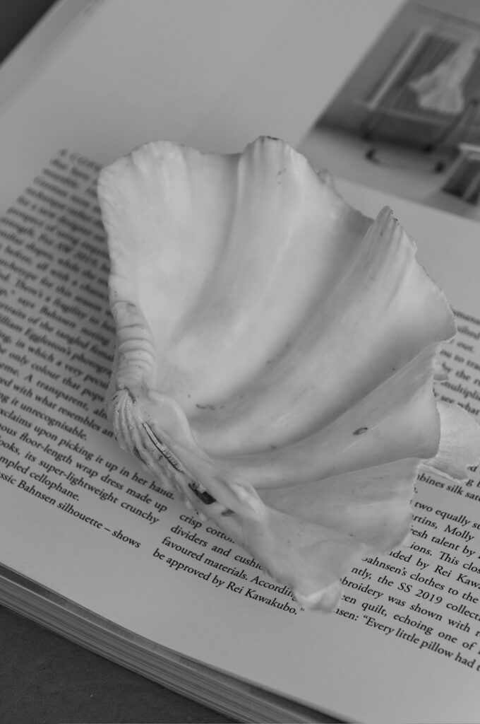 Black-and-white image of a delicate seashell resting on a soft surface, evoking feelings of feminine softness, intuition, and quiet power.