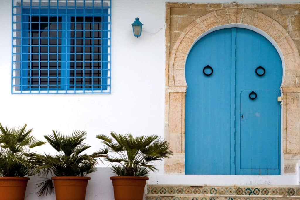 A traditional Djerbian doorway painted in bright blue, flanked by a matching window and potted palm plants, embodying the island's architectural charm.